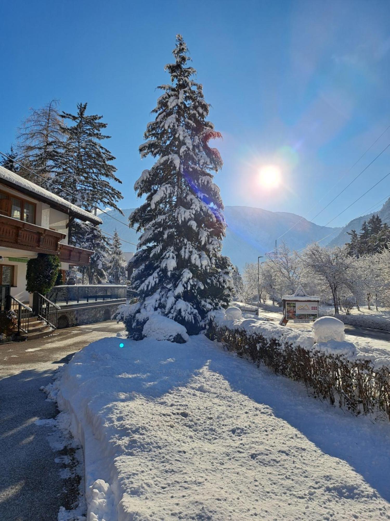 Gaestehaus Almrausch, Ferienanlage Mit Pool Hotel Nassereith Exterior photo